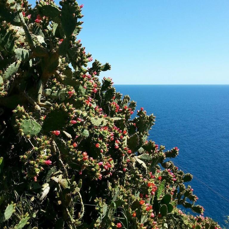 Hotel St. Leonard Forio di Ischia Kültér fotó